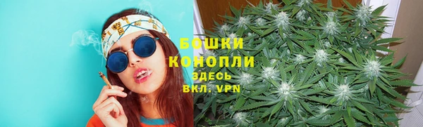гидра Горняк