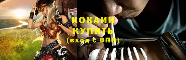 гидропоника Горно-Алтайск