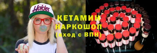 гидра Горняк
