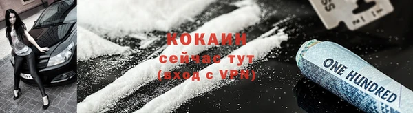 гидра Горняк
