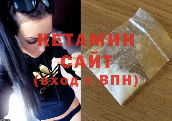 гидра Горняк