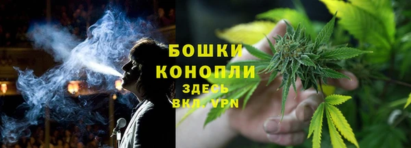 гидра Горняк