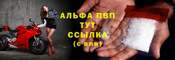 гидра Горняк
