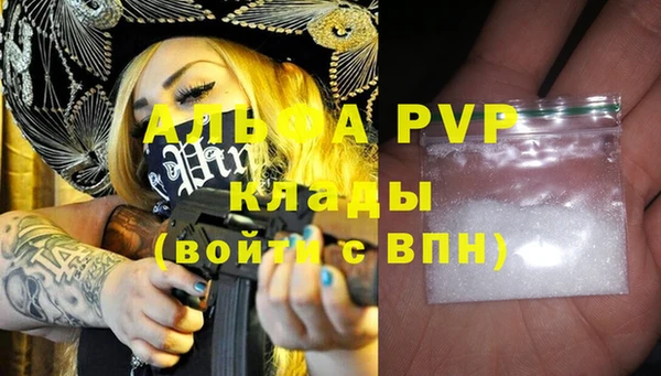 гидра Горняк