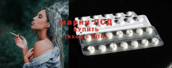 гидра Горняк