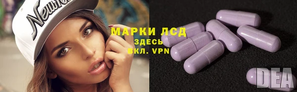 гидра Горняк