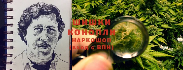 молекула духа Горнозаводск