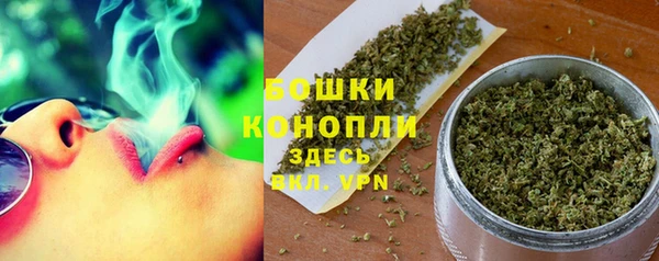 гидропоника Горно-Алтайск