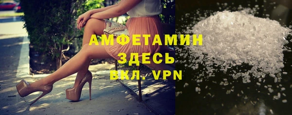 гидра Горняк