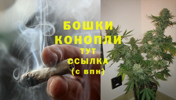 молекула духа Горнозаводск