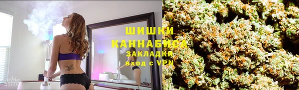 гидра Горняк